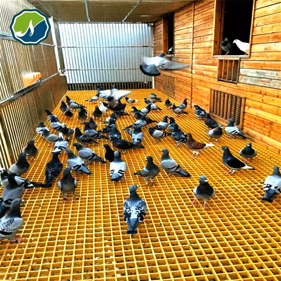 Grade de piso de PRFV resistente à corrosão, piso de deck de fibra de vidro de alta resistência